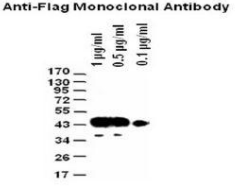 5f6184e3aabcb.png image.png