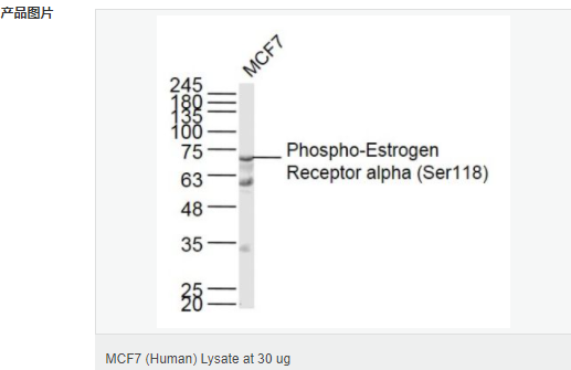 6052b98066e6c.png image.png