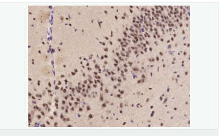 605804e8a2894.png image.png