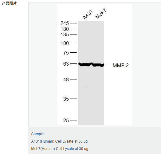 605805ea8094e.png image.png