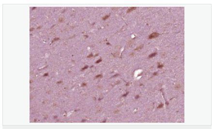 6058099fb58a0.png image.png