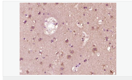 60583a7be3c60.png image.png