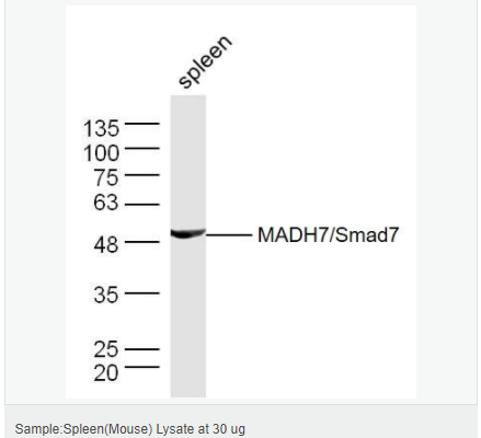 6058419c11e22.png image.png