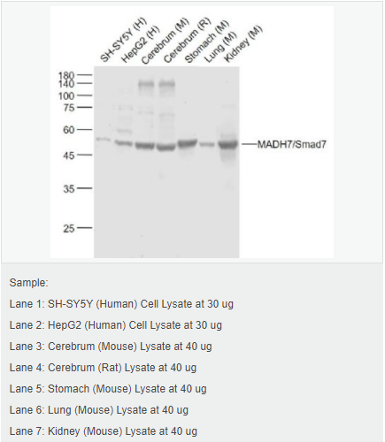 605841bf3e867.png image.png