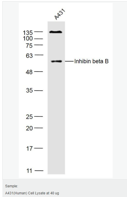 605c4069a84fd.png image.png