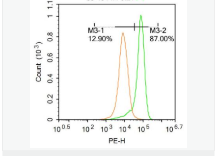 6061301f04446.png image.png