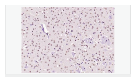 6065320ceb0d2.png image.png