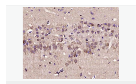 607643ec88ae8.png image.png