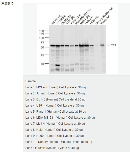 607d2e596aaed.png image.png